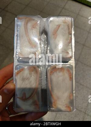 Confezione blister di topi defunti congelati maschi adulti bianchi per serpenti e rettili di animali domestici. Foto Stock