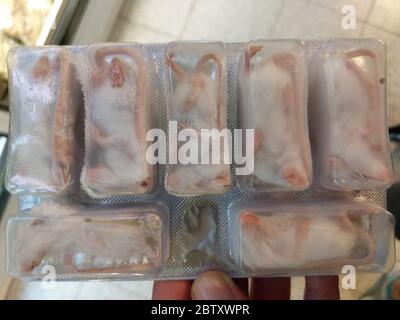 Confezione blister di topi dead feeder congelati di medie dimensioni, di colore bianco, per serpenti e rettili di animali domestici Foto Stock