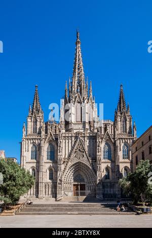 Cattedrale di Santa Croce e di Santa Eulalia, Barcellona, in Catalogna, Spagna Foto Stock