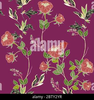 Delicati ramoscelli di rose rosse con infiorescenze, foglie e petali su sfondo prugnoso. Motivo floreale senza cuciture. Illustrazione vettoriale disegnata a mano con Foto Stock