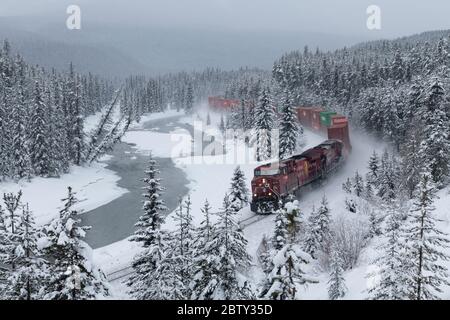 Treno canadese del Pacifico a Morant's Curve in inverno lungo il fiume Bow, il Parco Nazionale di Banff, sito Patrimonio dell'Umanità dell'UNESCO, Alberta, Canada, Nord America Foto Stock