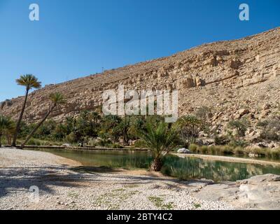 Piscine naturali formate da acque alluvionali a Wadi Bani Khalid, Sultanato dell'Oman, Medio Oriente Foto Stock