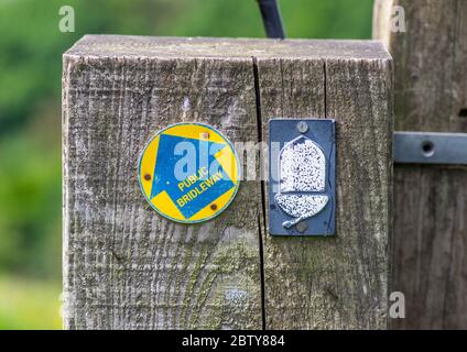 Acorn e freccia di direzione su un palo di legno del cancello sulla Yorkshire Wolds Way. Foto Stock