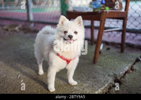 Hsinchu / Taiwan - 15 settembre 2019: Foto Stock