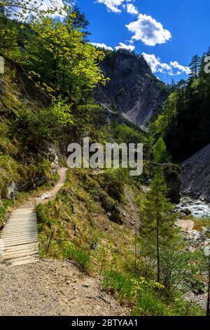 Sentiero escursionistico sotto il fiume Wild Mountain a Ötschergräben in Austria Foto Stock