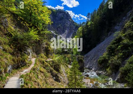 Sentiero escursionistico sotto il fiume Wild Mountain a Ötschergräben in Austria Foto Stock