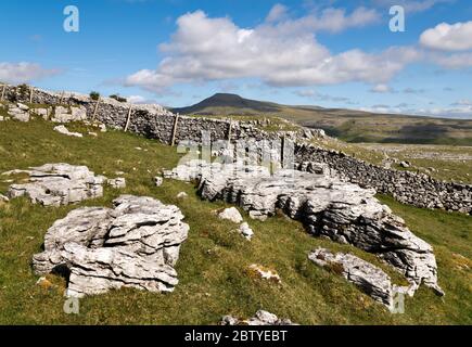 Una vista della vetta di Inglebough dagli affioramenti di pietra calcarea a Twistleton Scar, vicino a Ingleton, Regno Unito Foto Stock