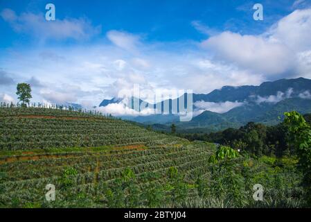 Ghats Occidentale montagna paesaggio e Wayanad montagna Foto Stock