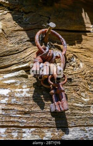 Set di vecchie chiavi arrugginite appese su un chiodo su una trave di legno, Ariege, Pirenei francesi, Pirenei, Francia Foto Stock