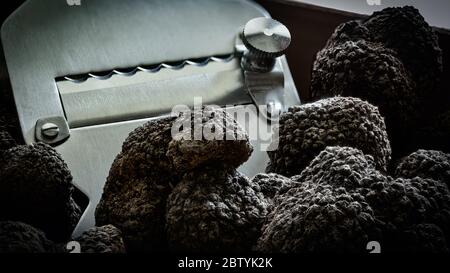 Tuber Aestivum tartufi neri, Umbria, Italia Foto Stock