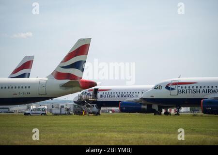 Glasgow, Scozia, Regno Unito. 28 Maggio 2020. Nella foto: Gli equipaggi di terra della British Airways all'aeroporto internazionale di Glasgow servono la collezione di aerei Airbus A319/A320/A321 con base a terra che giacciono dormienti e senza luce mentre le compagnie aeree lavorano a che fare con la sua massa di aerei a terra nella loro flotta. Ci sono costi fissi che BA deve soddisfare per assicurarsi che i loro aerei siano aerei. Per sopravvivere BA ha già assacionato un quarto del loro personale. Credit: Colin Fisher/Alamy Live News Foto Stock