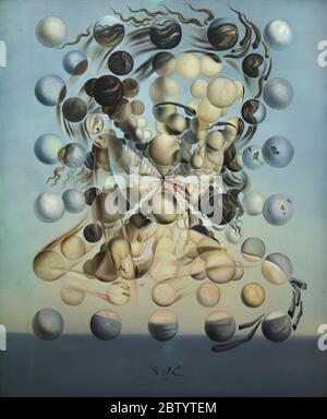 Dipinto 'Galatea delle sfere' del pittore surrealista spagnolo Salvador Dalí (1952) in mostra al Teatro e Museo Salvador Dalí di Figueres, Catalogna, Spagna. Foto Stock