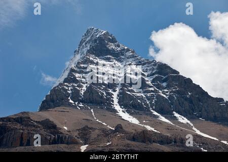 Monte Robson dal Berg Lake Trail Foto Stock