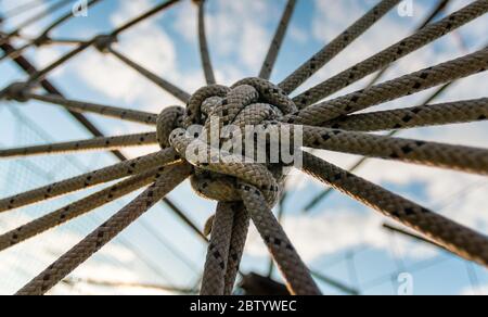 molte corde e un nodo grande da vicino Foto Stock