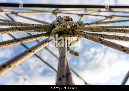 molte corde e un nodo grande da vicino Foto Stock