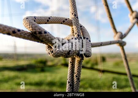 molte corde e un nodo grande da vicino Foto Stock