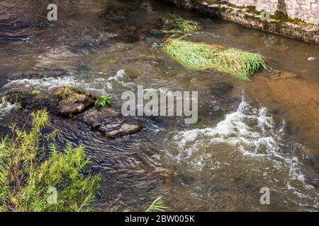 Vedute del fiume teme a Ludlow dal ponte di Ludford, Ludlow, Shropshire, Regno Unito Foto Stock