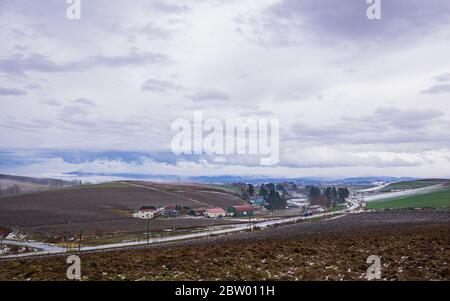 Mild Seven Hill situato nella città di Biei, è una piccola città circondata da un pittoresco paesaggio di dolci colline e campi vasti. La collina è fa Foto Stock