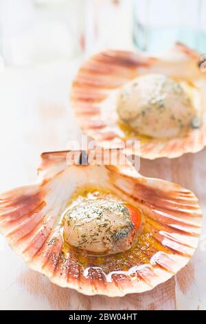 Capesante King con burro all'aglio Foto Stock