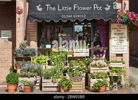 Il fioraio di Little Flower Pot a Sunninghill, Berkshire Foto Stock