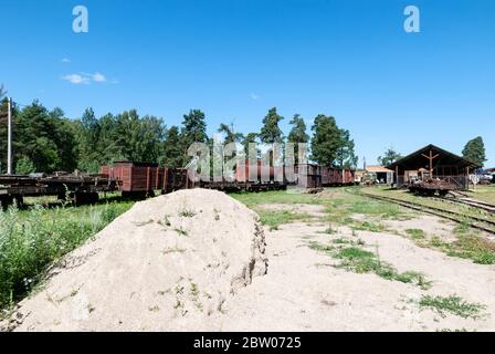 Regione di Yaroslavl, villaggio di Talitsy, Russia, 19 luglio 2015: Museo ferroviario Pereslavl. Un treno di diversi tipi di auto ferroviarie a scartamento ridotto. Foto Stock