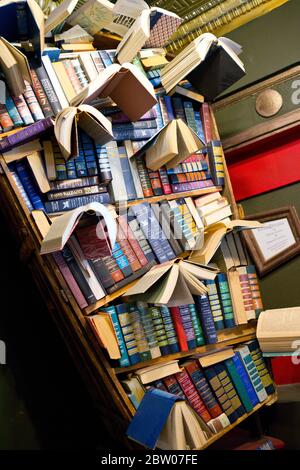 L'ultimo negozio di libri e dischi Airy Bookstore offre articoli nuovi e usati in uno spazio multilivello adornato con arte locale a Los Angeles, California Foto Stock