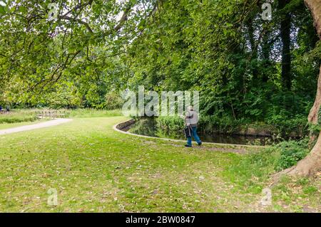 Fiume Wandle che scorre attraverso i terreni del National Trust del Parco di Morden Hall Foto Stock