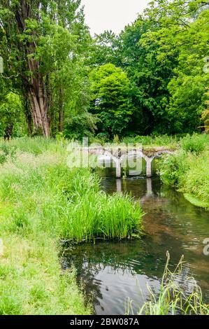 Fiume Wandle che scorre attraverso i terreni del National Trust del Parco di Morden Hall Foto Stock