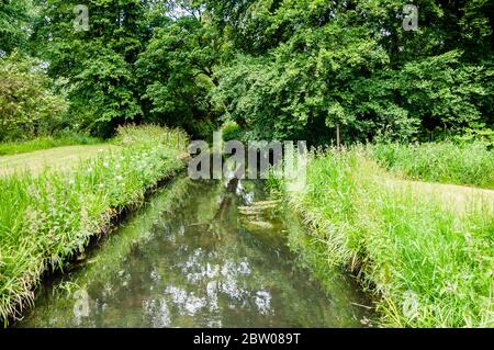 Fiume Wandle che scorre attraverso i terreni del National Trust del Parco di Morden Hall Foto Stock