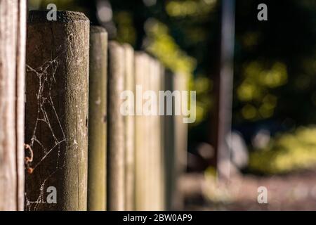 Pasa manos de madera Foto Stock