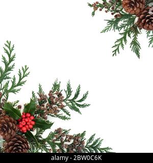 Bordo floreale invernale naturale con cipresso, cedro e coni di pino su sfondo bianco. Tradizionale verde per Natale e Capodanno. Foto Stock