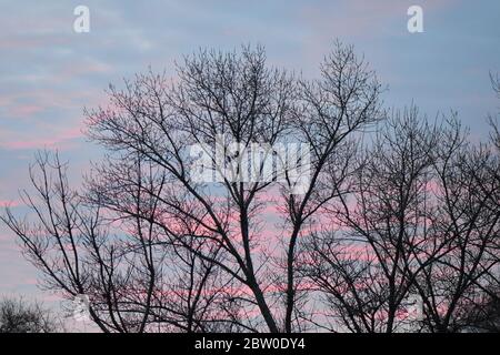 Silhouette in alto con i raggi del tramonto Foto Stock