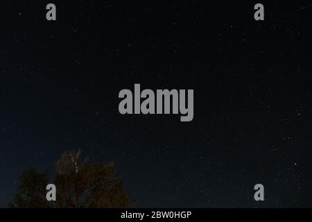 Cielo stellato notte con stelle lampeggianti, sfondo campo universo Foto Stock