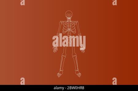 Halloween personaggi di Skeleton linea di disegno semplice.icona su sfondo marrone isolato.Creative mano schizzo minimo scena luogo per il tuo testo.Biologia b Illustrazione Vettoriale