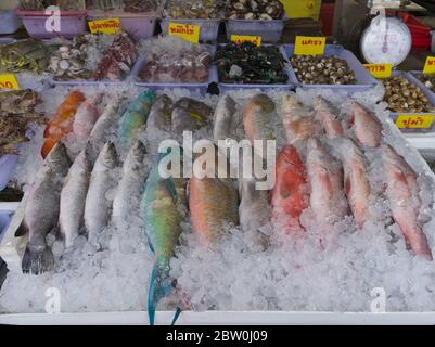 dh Rawai Thai mercato del pesce PHUKET THAILANDIA colorati pescivori prodotti ghiaccio stalle mercati di pesce pescivendolo Foto Stock