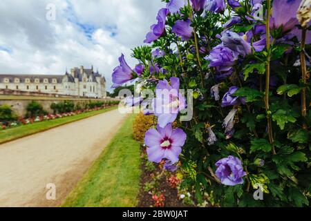 23 luglio 2017, castello di Chenonceau. Francia. Facciata del castello medievale delle Signore. Castello medievale reale di Chenonceau parco e giardino. Chenonceau Foto Stock