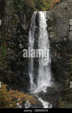 Ffrwd Fawr, Dylife, Powys. Foto Stock