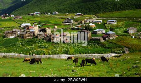 L'antico villaggio montano di Ushguli nella regione superiore Svaneti della Georgia. Foto Stock