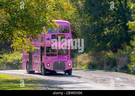 Saint John, NB, Canada - 29 settembre 2018: Un autobus rosa a due piani per un tour della città. Questi autobus offrono escursioni della città, principalmente a nave da crociera Foto Stock