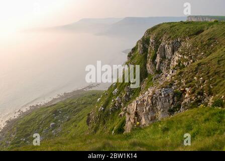 St. Albans Head, Purbeck, Dorset, Inghilterra, Regno Unito Foto Stock