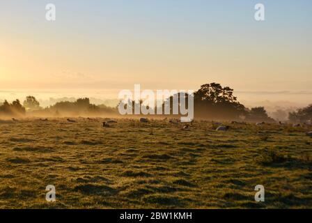 Old Bolingbroke, Lincolnshire, Regno Unito Foto Stock