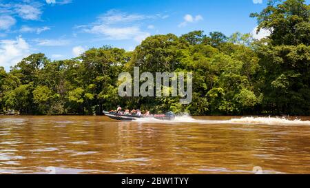 Barca su un fiume tropicale. Taxi barca in servizio da la Pavona al Parco Nazionale Tortuguero, Costa Rica. Fiume suerte Tortuguero. Foto Stock