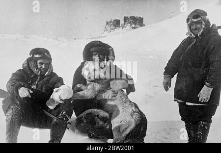 I membri della spedizione dei pionieri polari sovietici con uno dei loro cani sul ghiaccio. Da sinistra a destra - P.Shirshov; E. Krenkel e I. Papanin, il capitano. Gli scienziati russi stanno conquistando la leggendaria terra di ghiaccio e neve in cima al mondo che è ancora inesplorata. Hanno sistemato giù per un soggiorno di un anno su una gallina di ghiaccio al Polo Nord e ora stanno facendo i sondaggi se. 2 luglio 1937 Foto Stock