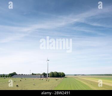 cavalli vicino a turbine eoliche e agricole nella provincia olandese di flevoland sotto il cielo blu in primavera Foto Stock