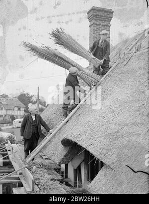 Antico artigianato per gli edifici moderni, canne dai Norfolk Broads. I Thatchers lavorano sul tetto di una nuova roadhouse sulla London Brighton Road a Warninglid, vicino a Bolney, Sussex. I fasci di canne che stanno usando per il Thatcher portato specialmente dai Norfolk Broads. 25 gennaio 1938 Foto Stock