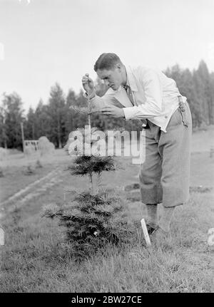 I più grandi foresters del mondo. Forest Academy of Korkeakoski 1939 da una serie questi uomini costruirono la linea Mannerheim - la zona finlandese delle fortificazioni di frontiera è stata progettata e costruita interamente dal popolo finlandese. Gli ingegneri finlandesi iniziarono a lavorare sulla linea nel 1937, ma solo quest'estate del 1939 il lavoro fu accelerato e completato. Poi, consapevoli dei pericoli di una frontiera debole, i giovani e gli studenti finlandesi hanno rinunciato alle loro vacanze estive per aiutare volontariamente nella costruzione di trappole e fortificazioni. Foto Stock