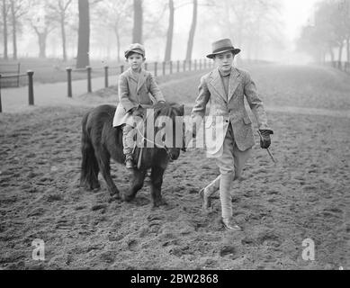 Cavalcare in fila su una piccola scala!. Un monte insolito visto a Rotten Row, Hyde Park, quando Timothy Wardell, figlio del capitano Michael Wardell, ha avuto una lezione di equitazione, sul suo pony Shetland di tre anni. Anne è creduto essere il più piccolo pony di Shetland in Inghilterra. 8 gennaio 1938 Foto Stock