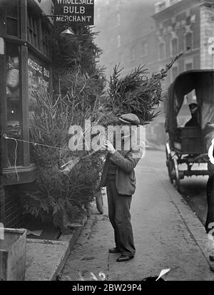 Centinaia di alberi di Natale e ora distribuiti a Covent Garden per soddisfare le esigenze del mercato londinese. 8 dicembre 1937 Foto Stock