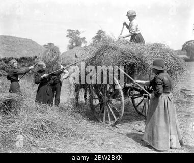 Donne assistere un contadino Norfolk con gli Hays. 1914-1918 Foto Stock