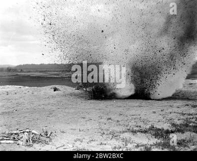 Cani da addestramento alla War Dog's Training School di Lyndhurst. Il cane salta dopo l'esplosione 26 aprile 1919 Foto Stock